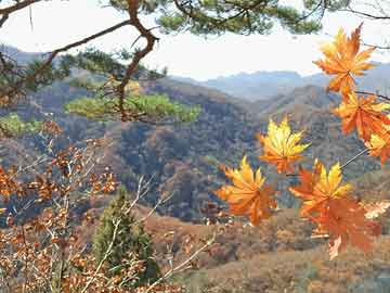 宋慧乔，从荧幕女神到生活战士